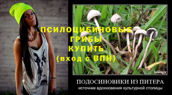 сатива Алексеевка