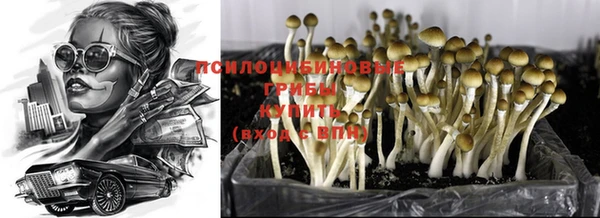 ALPHA PVP Абдулино