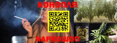 прущие крисы Северобайкальск