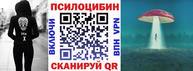 Галлюциногенные грибы мухоморы  дарк нет Telegram  Заринск 