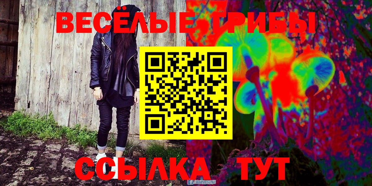 Заринск  Галлюциногенные грибы ЛСД  Галлюциногенные грибы мухоморы  Вход с VPN 