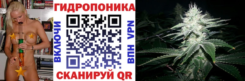 как найти закладки  Заринск  Канабис сатива 